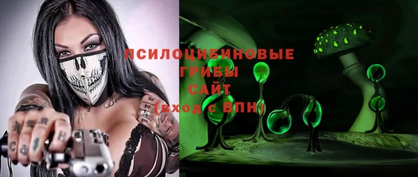 гашик Нягань