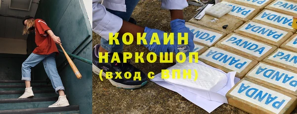 гашик Нягань
