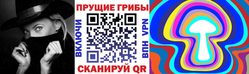 ОМГ ОМГ ONION  Новопавловск  Псилоцибиновые грибы прущие грибы 