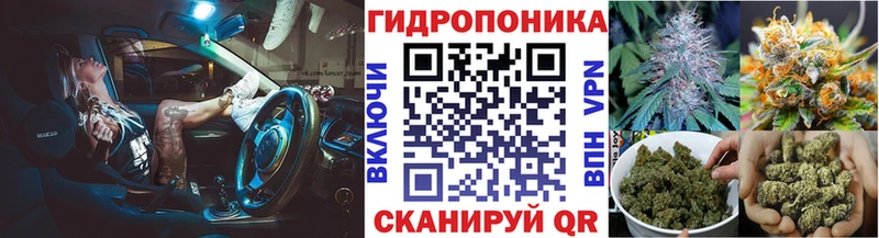 Бошки марихуана марихуана где купить наркоту Новопавловск